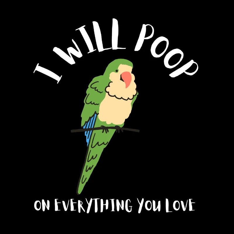 Blue Quaker Parrot Mom