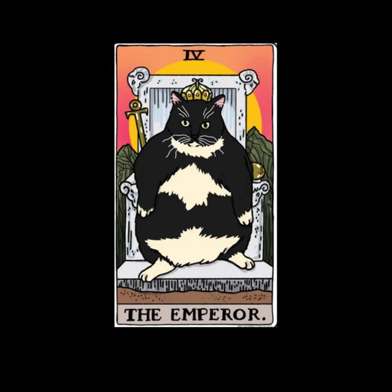 Fat Cat Obesity