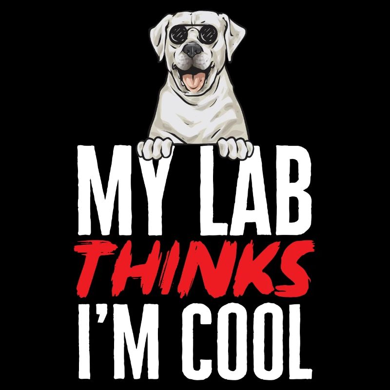 Weißer Labrador Retriever Weißer Lab