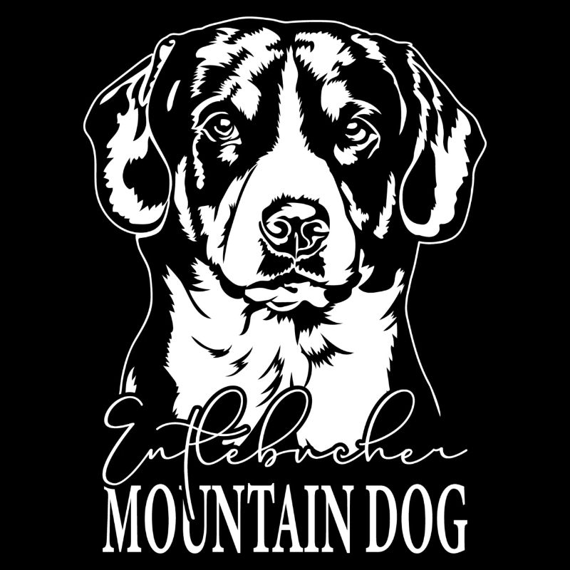 Entlebucher Mountain Dog Portrait Hunde Wilsigns