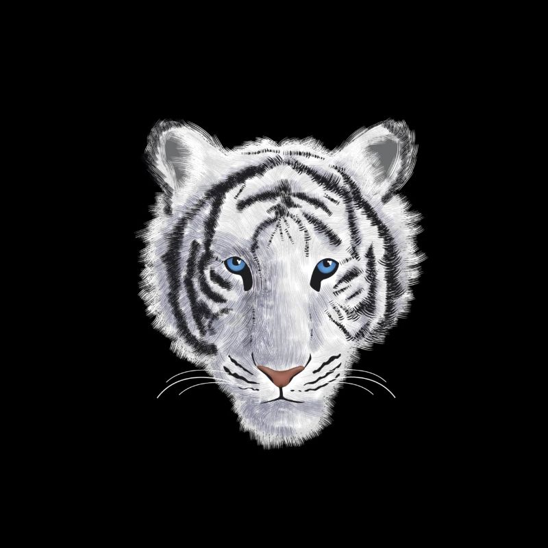tigre blanc