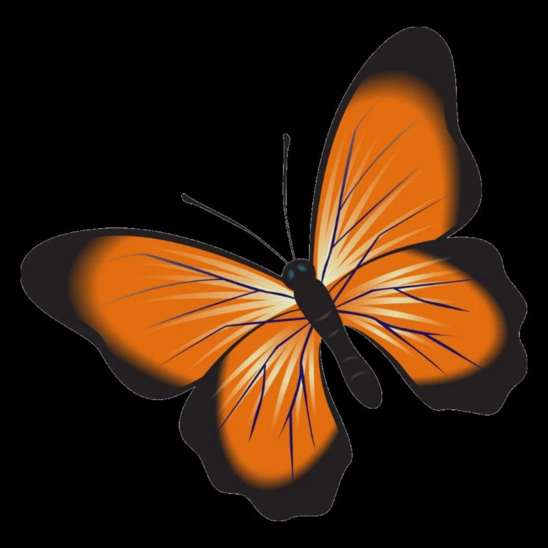 Papillon orange