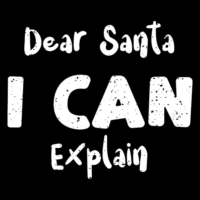 Dear Santa I Can Explain
