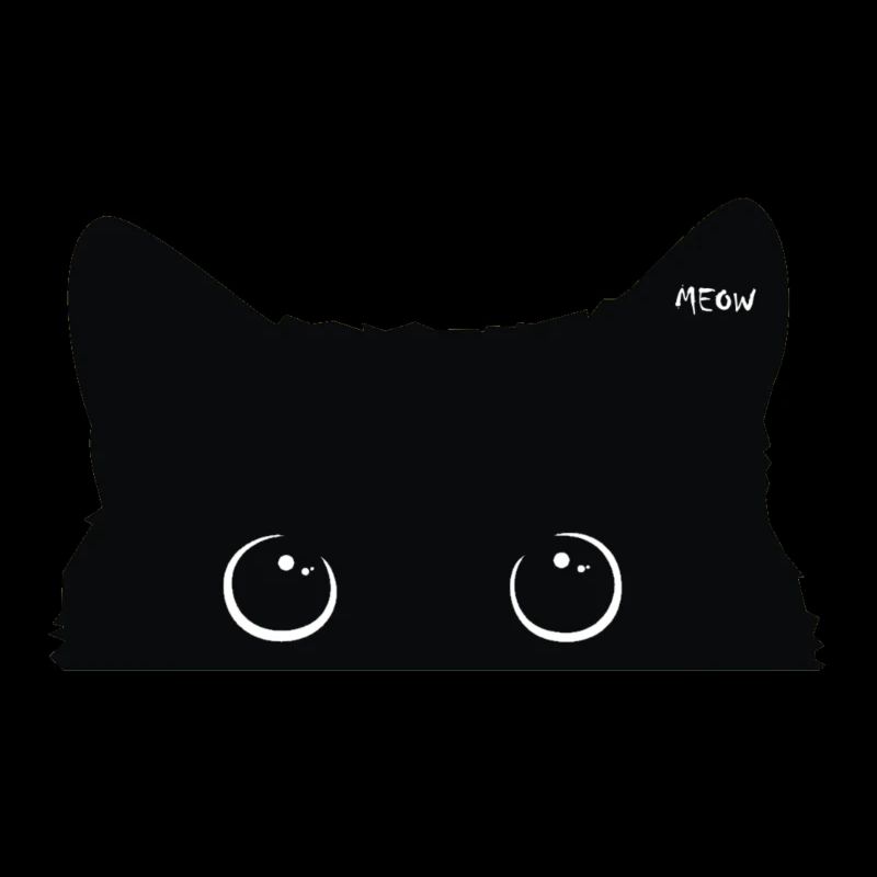 Chat noir