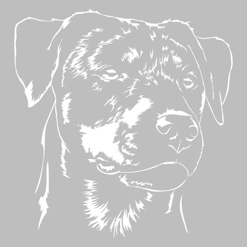 DEUTSCHER JAGDTERRIER glatthaar Wilsigns Jagdhund