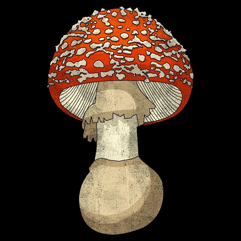 Champignon