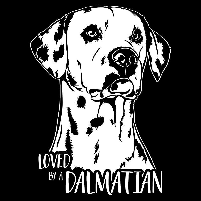 Aimé par un Dalmatien Dalmatien Chiens Wilsigns
