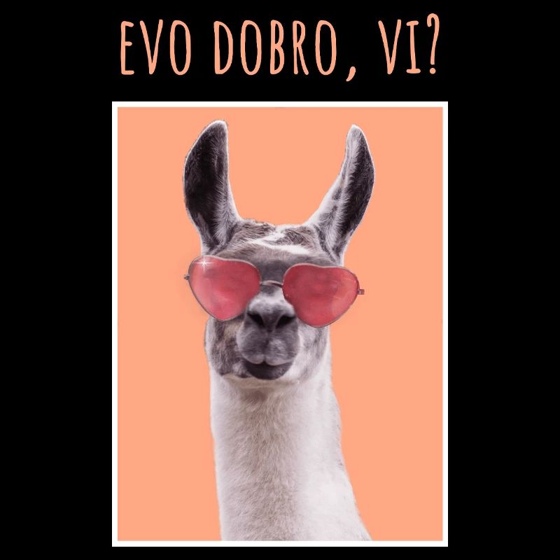 EVO DOBRO VI MAJICA