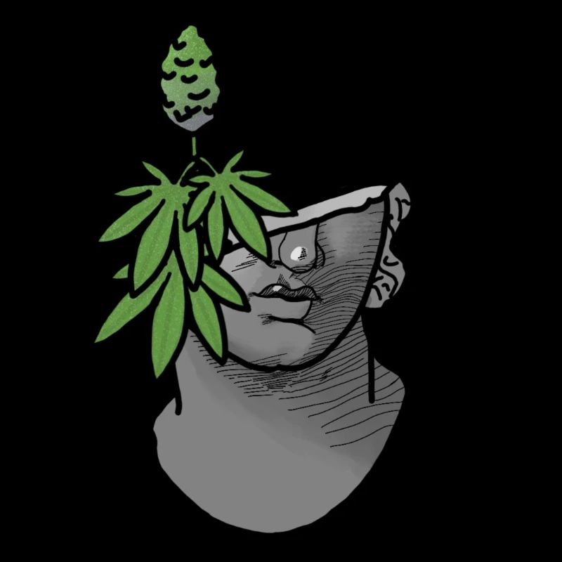 Stoned bust
