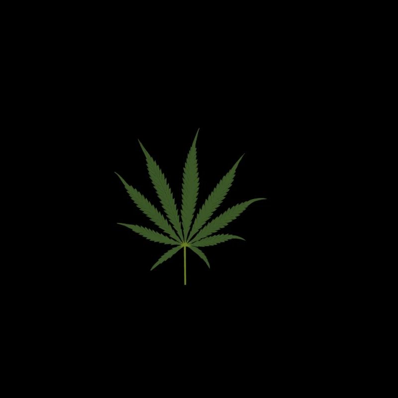Cannabis leaf