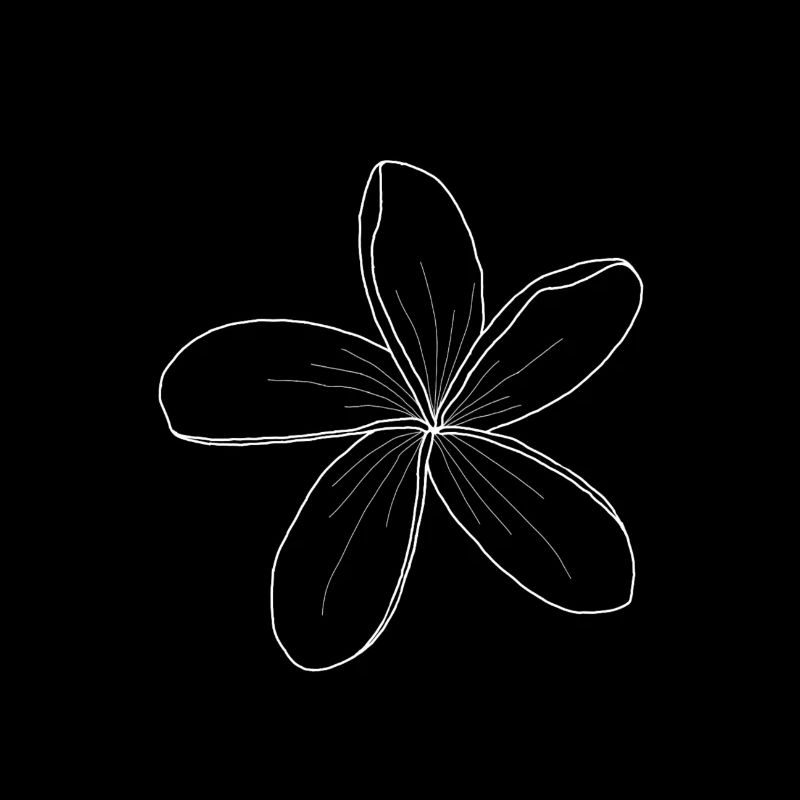 Fleur de Plumeria blanc fineline