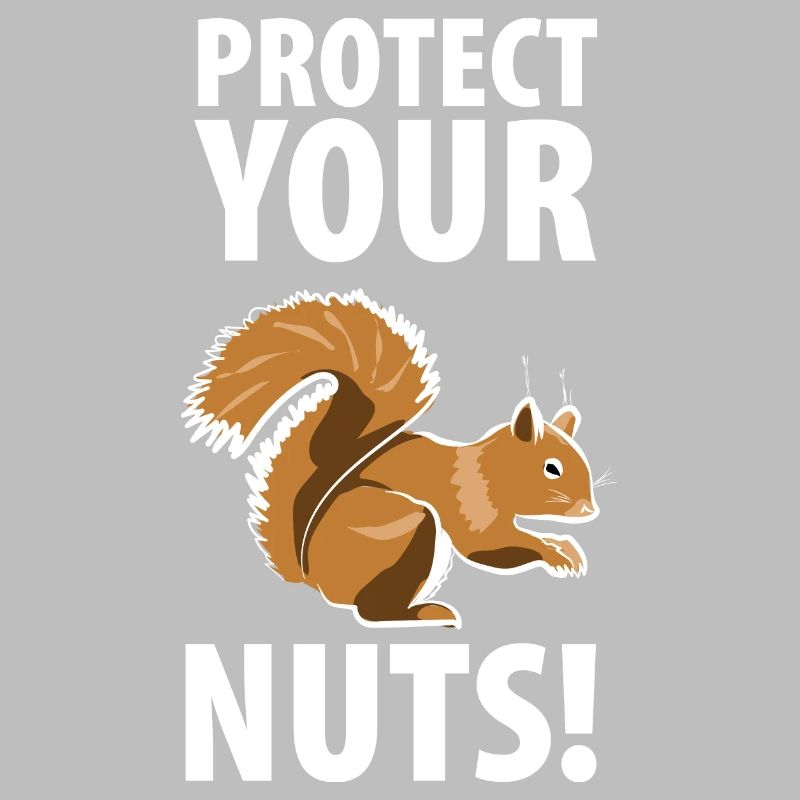 Squirrel Eichhörnchen Dieb Tierpfleger