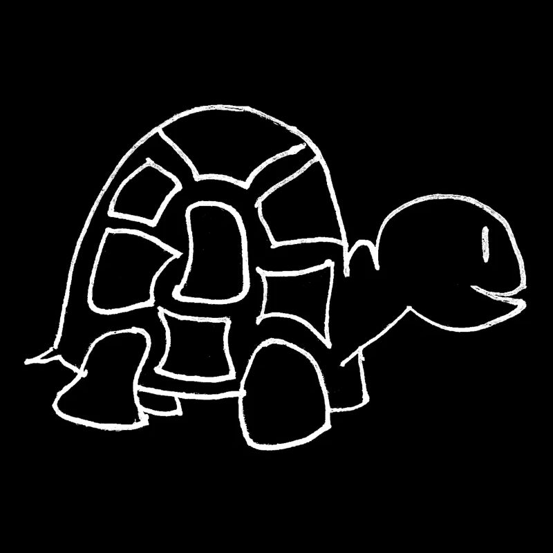 Dessin de tortues (blanc)