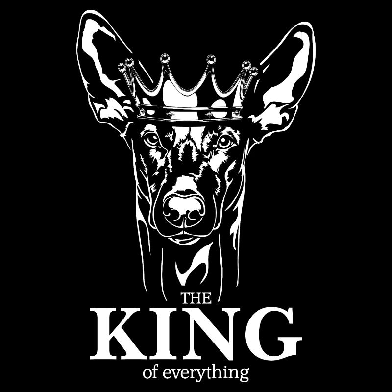 Pharaon chien roi de tout dire chiens