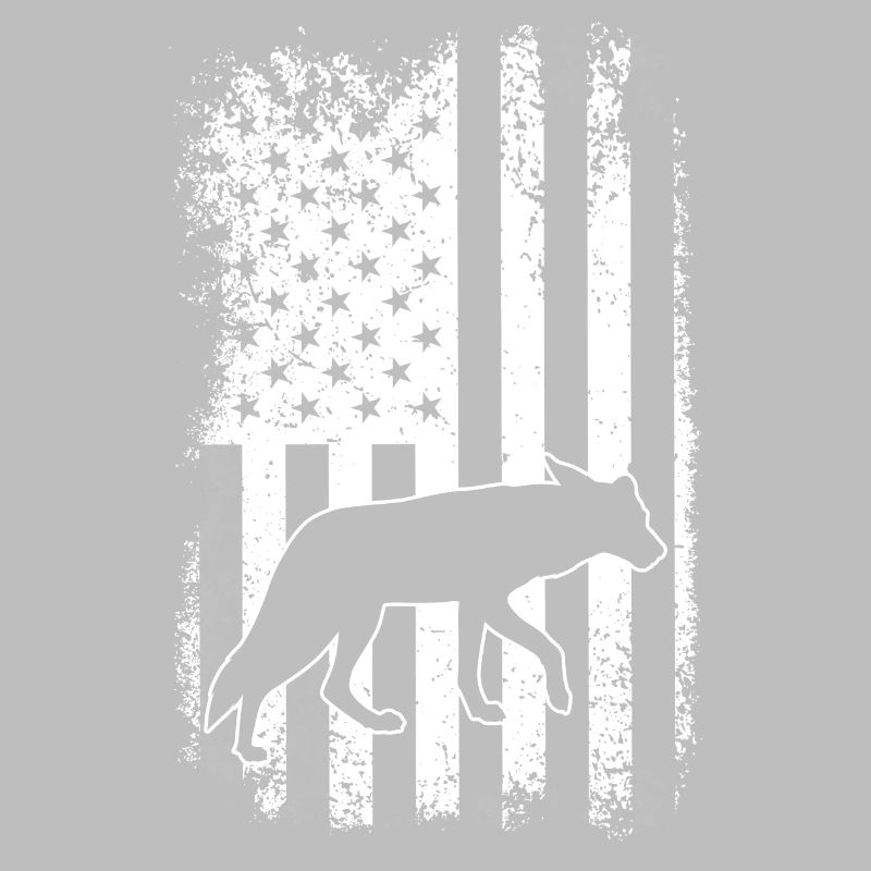 Conception de coyote pour les réacteurs de coyote