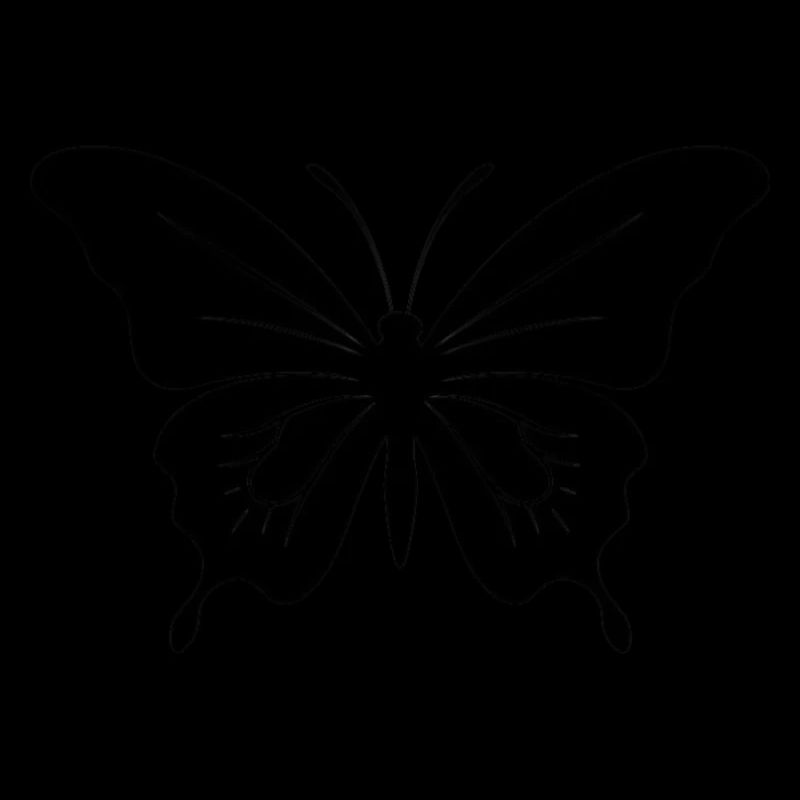 Papillon. papillon