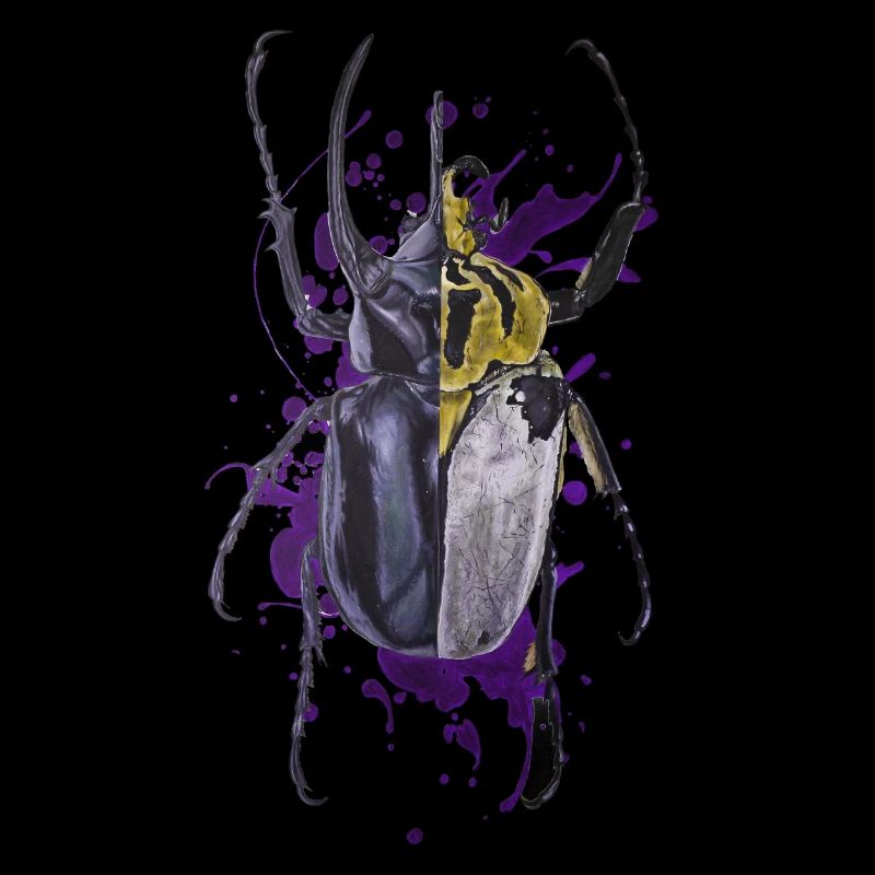 Coléoptère coléoptère insecte