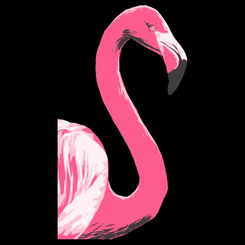Flamingo Bird Illustration