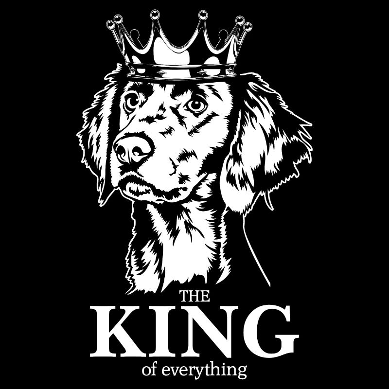 Weimaraner Langhaar King of everything Wilsigns