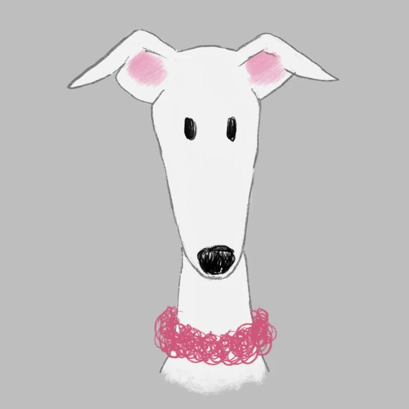 Lévrier à collier