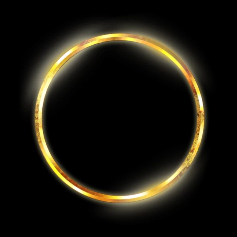 The Circle - TC