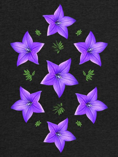 lilla blomst - klokkeblomst