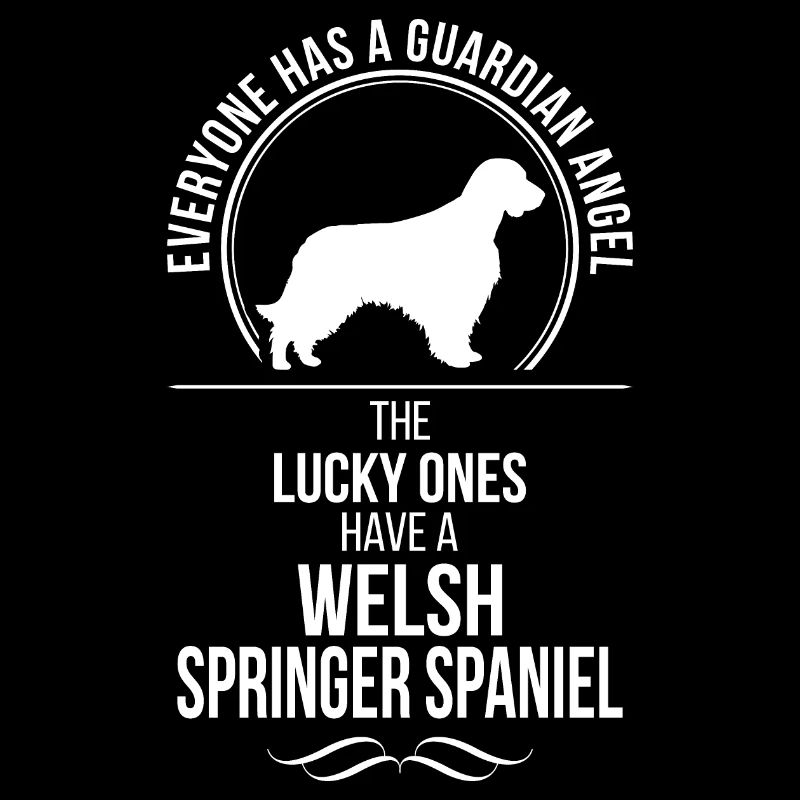 WELSH SPRINGER SPANIEL Ange gardien Wilsigns
