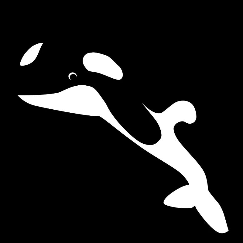 Orque / Épaulard