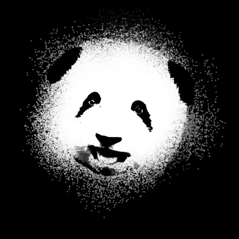 Panda, ours panda, ours, graffiti, blanc