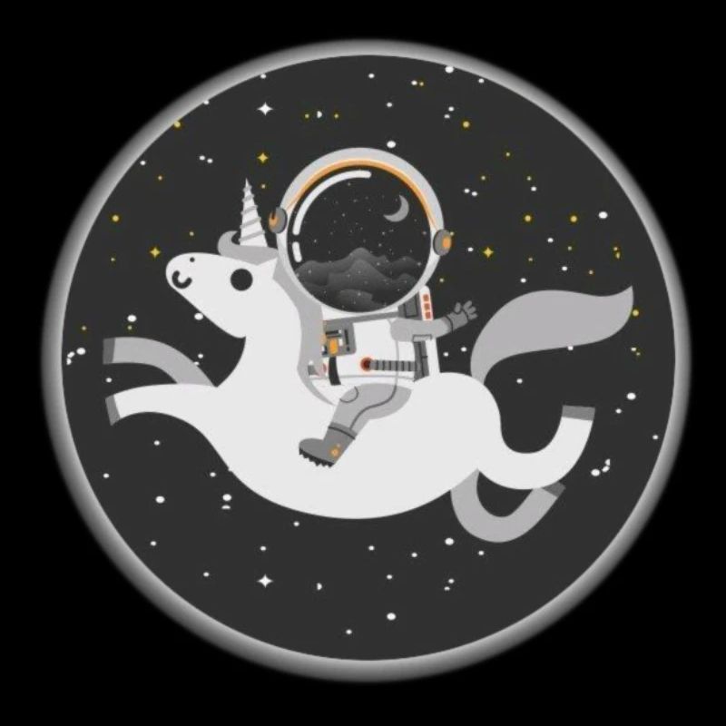 Space Unicorn