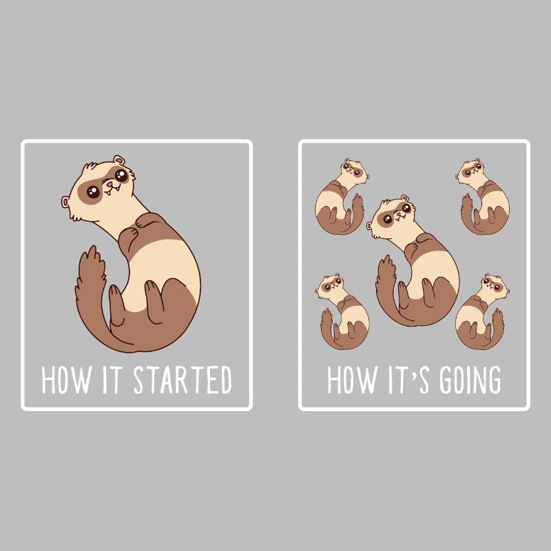 Comment ça a commencé Comment ça va drôle Mignonne belette Fe