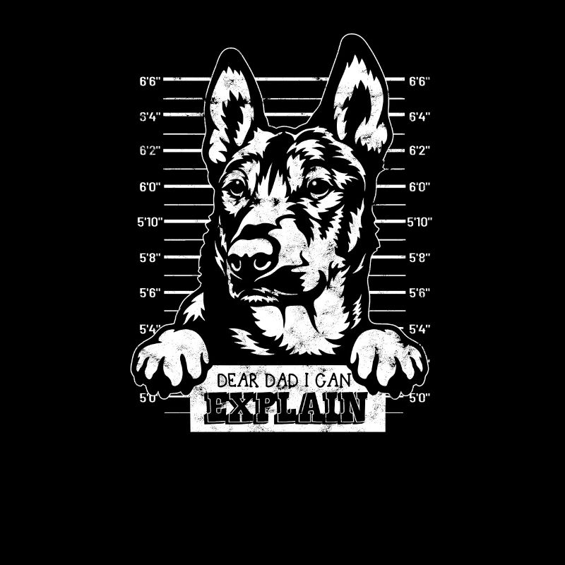 Dear dad I can explain - malinois dog