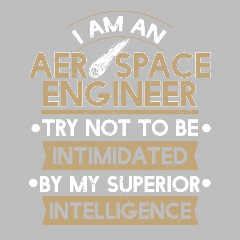 Aerospace Engineer Superior Intelligence