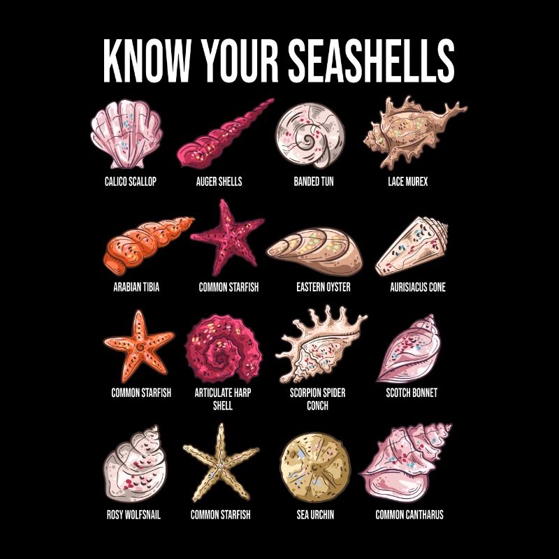 Espèces de moules