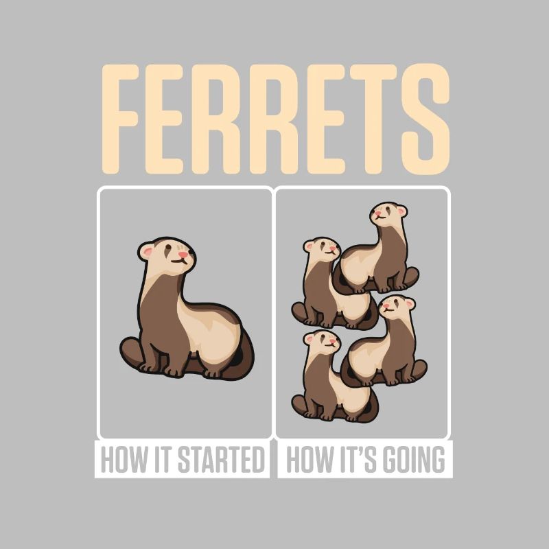 Weasel Cute Ferrets How It Started How It's Going