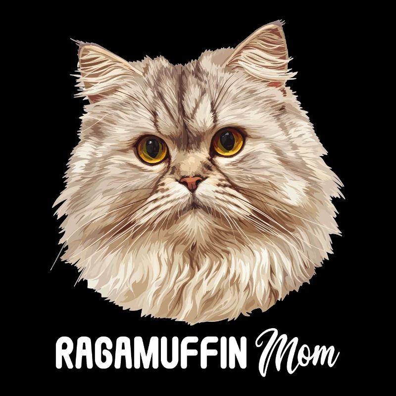 Ragamuffin Kätzchen Ragamuffin Katze