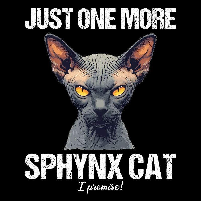 Sphynx Kitten Sphynx Cat