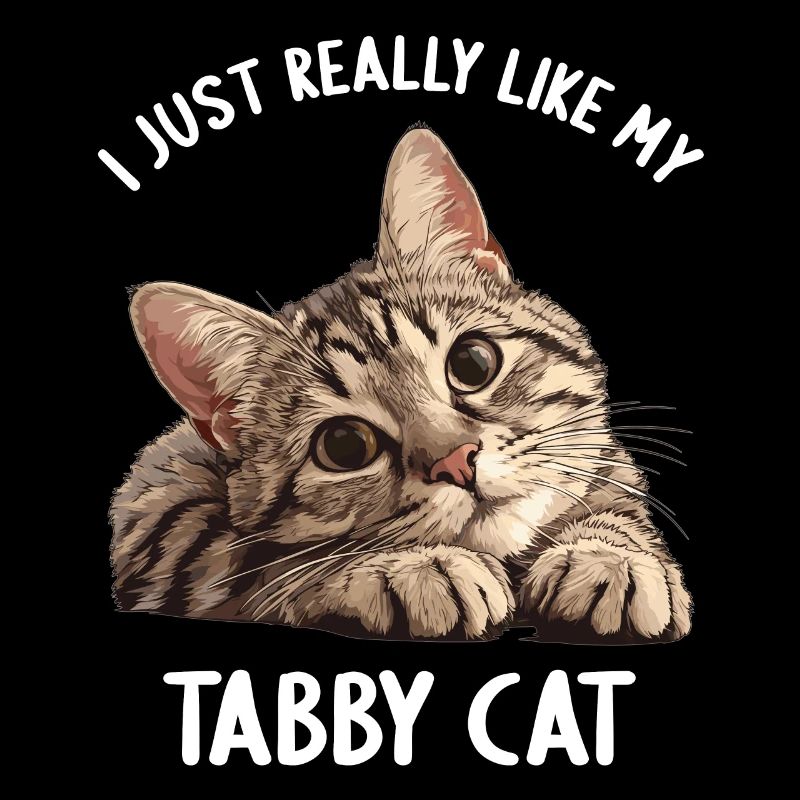 Tabby Kätzchen Tabby Katze