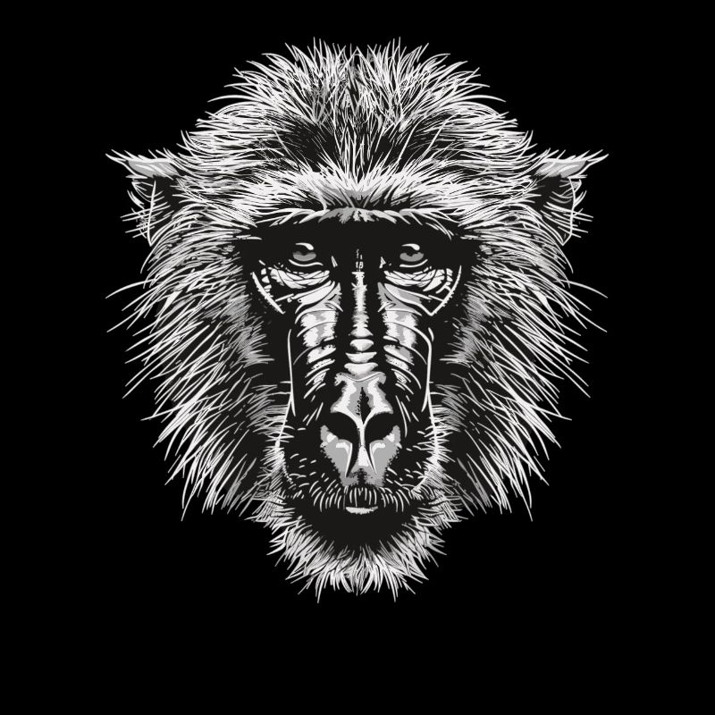 Baboon Paviane Pavian