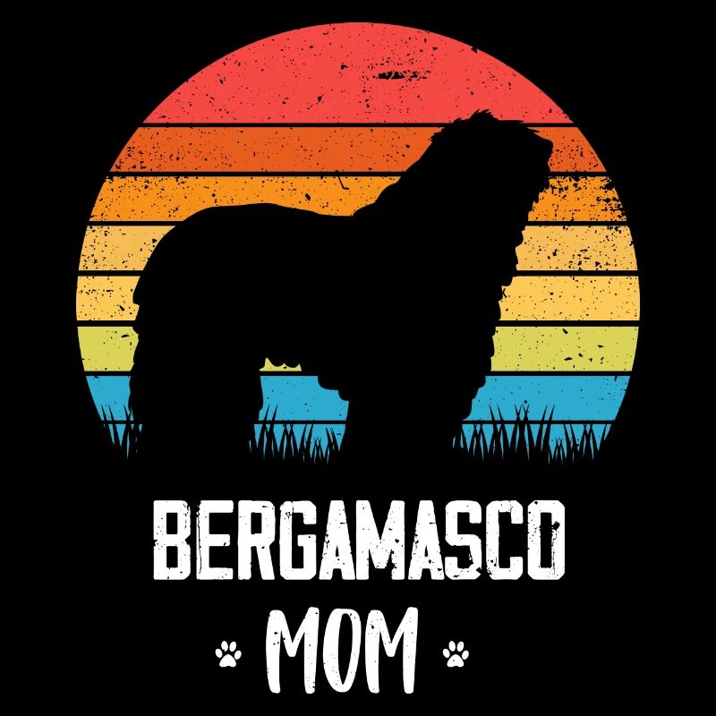Chien de berger de Bergame
