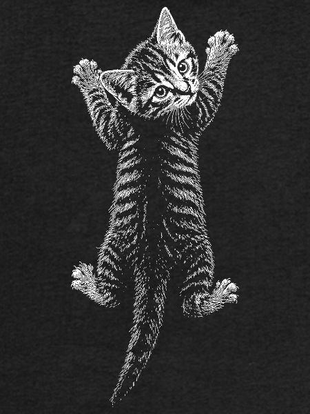 Chaton