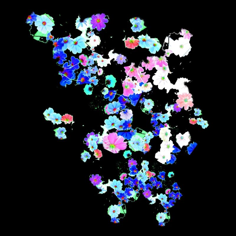 Pré, fleurs, fleurs, fleurs colorées