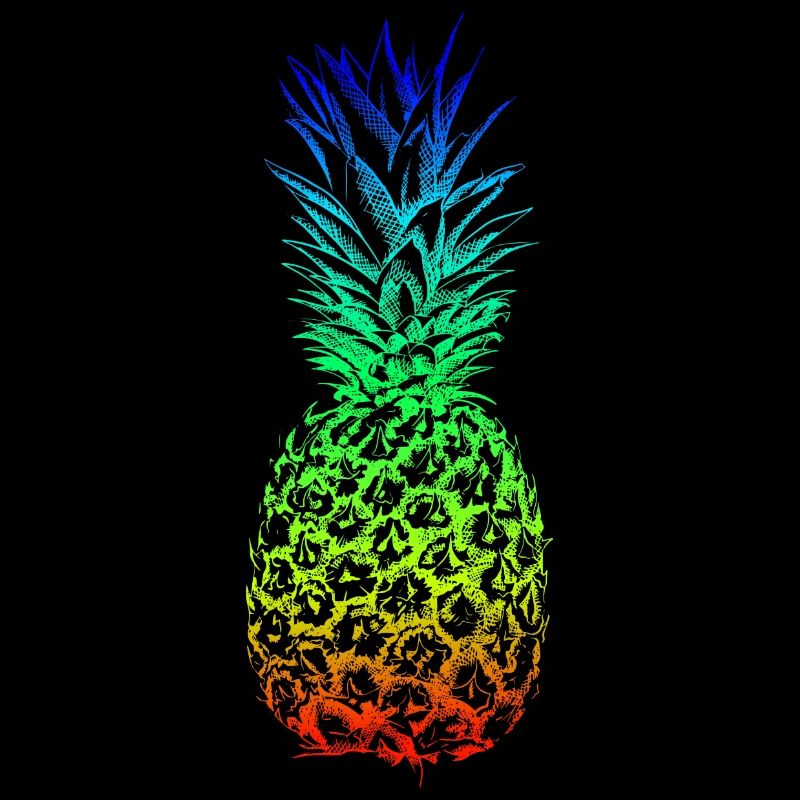 Rainbow ananas Hawaii conception d'été pour