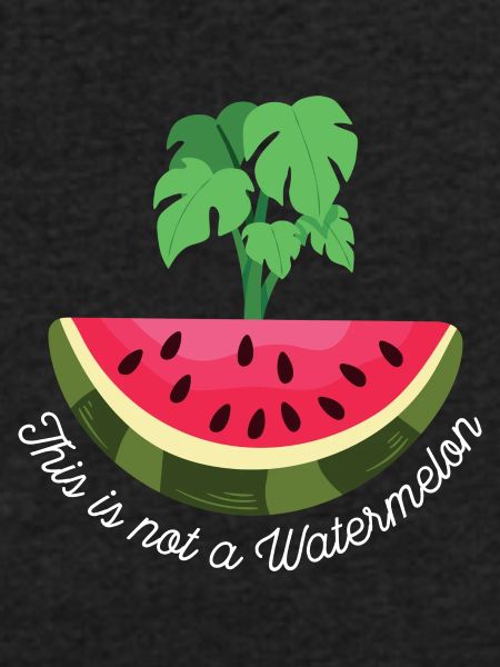 DETTE ER IKKE EN VANDMELON