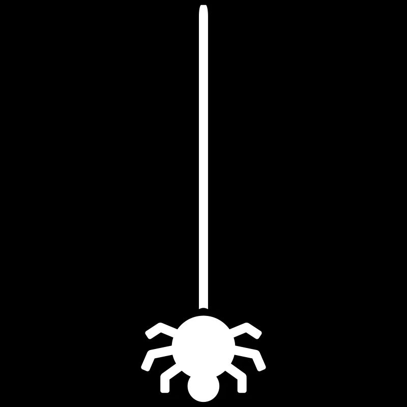Araignée suspendue