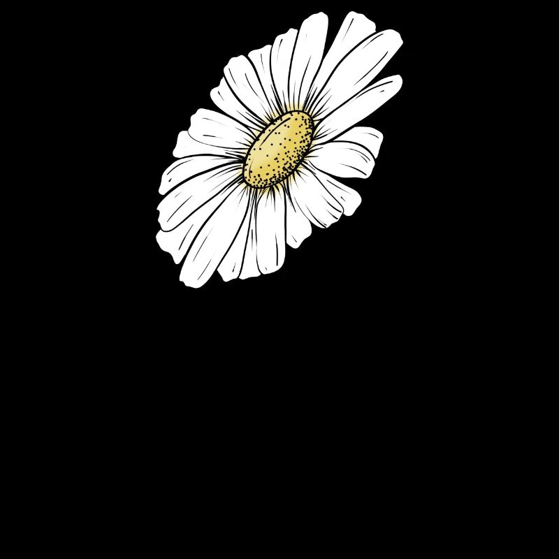 Summery daisy