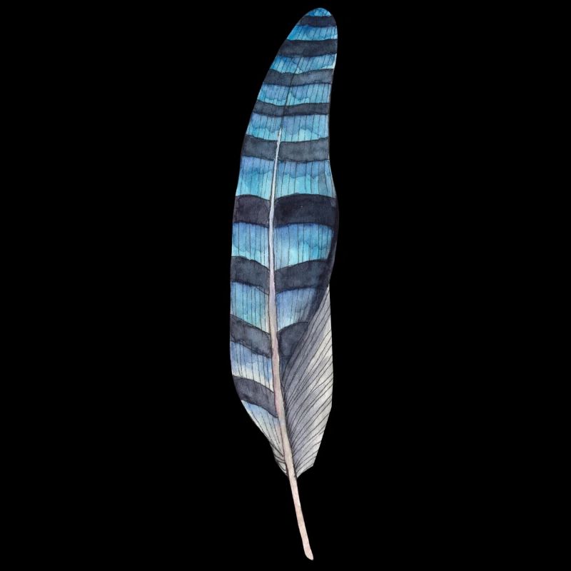 Black blue feather