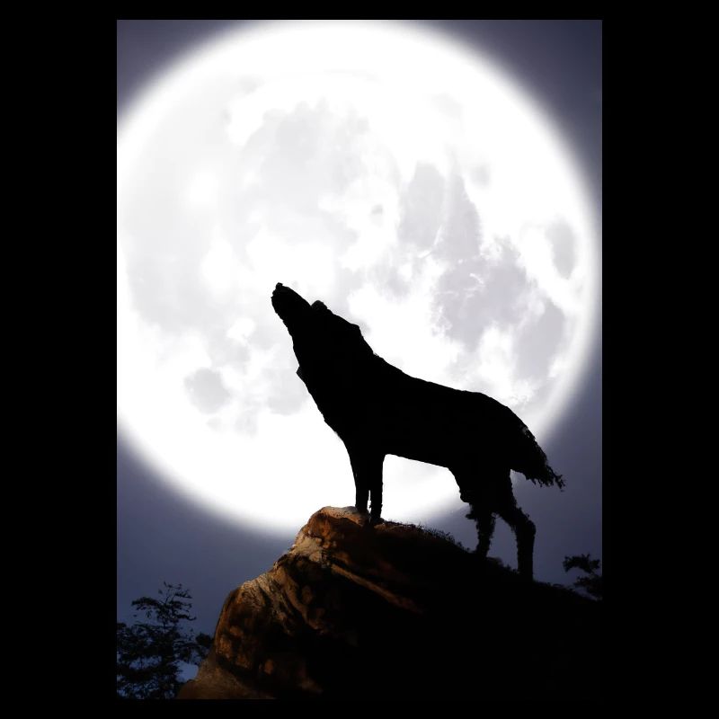 Wolf bei Nacht