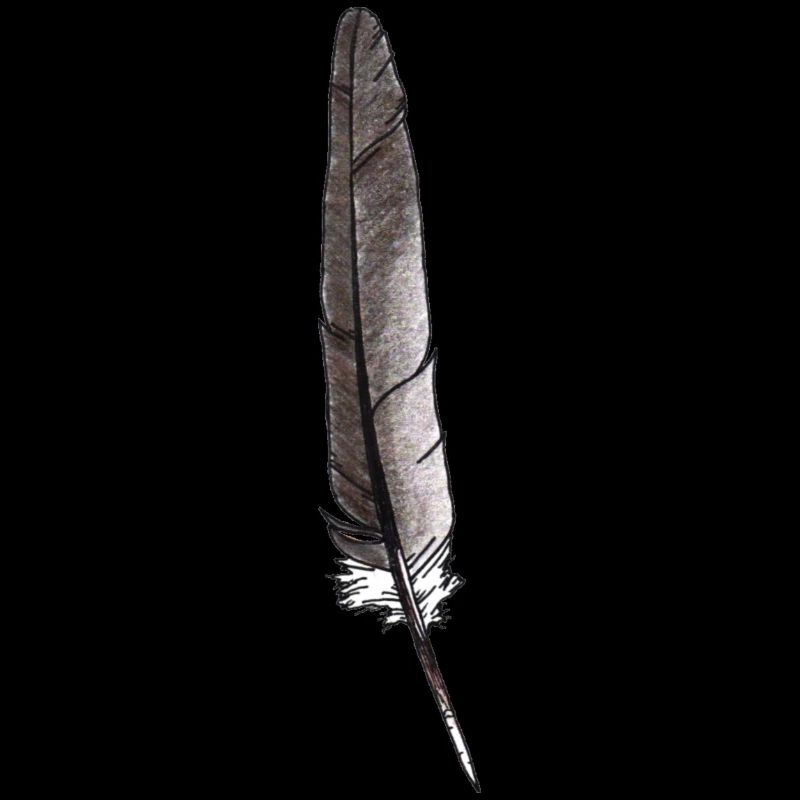 Gris plume dessiné à la main (pigeon)