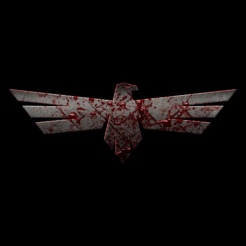 Eagles Eagle Eagle bird falcon hawk